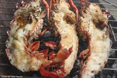 langoustes grillees