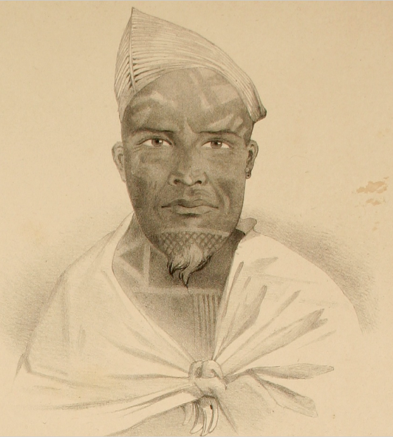 1838 goupil pakoko Copy