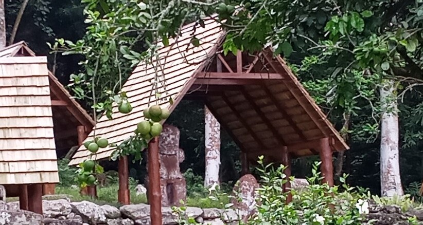 puamau5 Copy